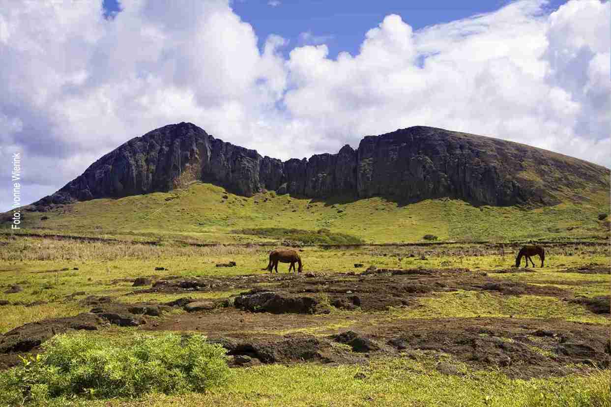 Horses with a view of the mountains on Easter Island